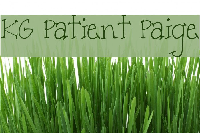 KG Patient Paige Font examples