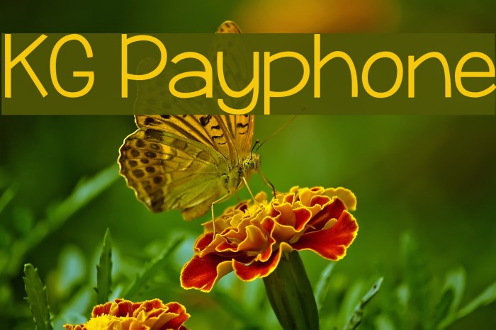 KG Payphone Font examples