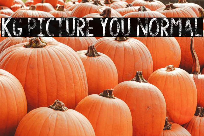 KG Picture You Normal Example 2