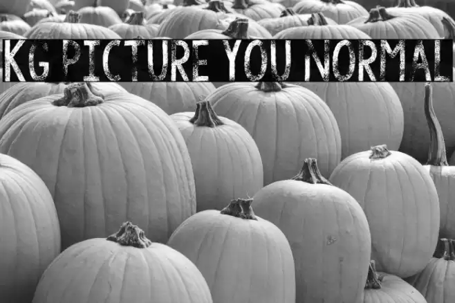 KG Picture You Normal फ़ॉन्ट examples