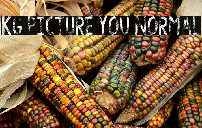 KG Picture You Normal Example 3