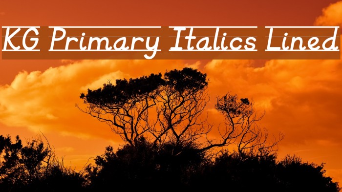 KG Primary Italics Lined Font examples