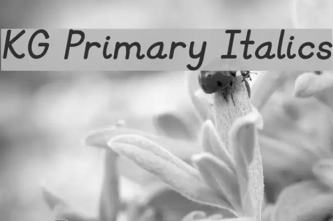 KG Primary Italics Font examples