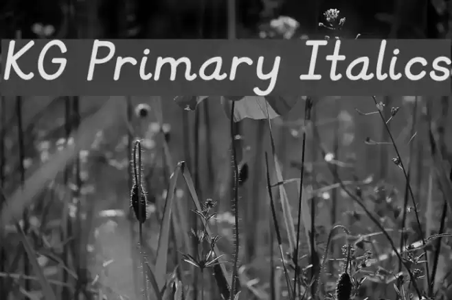 KG Primary Italics Font examples
