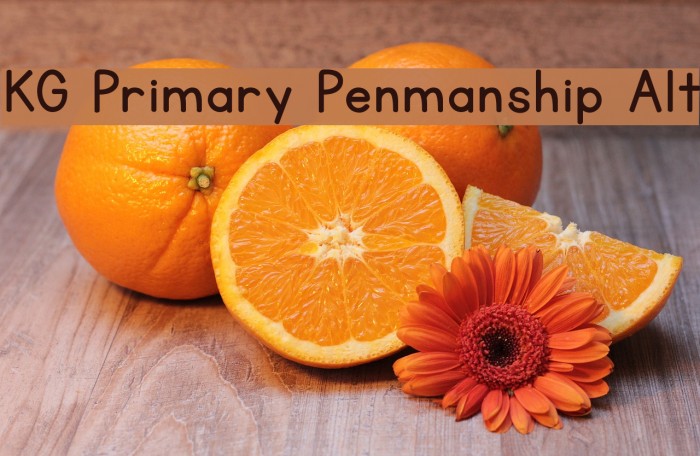 KG Primary Penmanship Alt Example 2