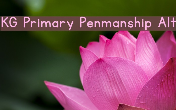 KG Primary Penmanship Alt Example 3