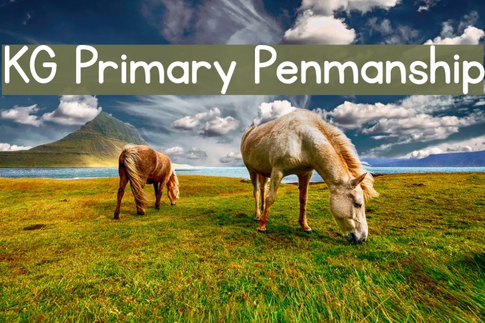 KG Primary Penmanship Font examples