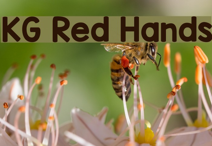 KG Red Hands Font examples