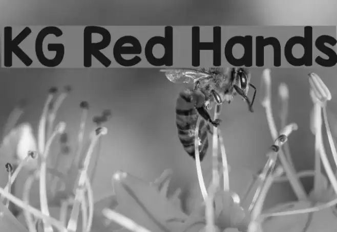 KG Red Hands フォント examples