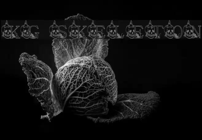 KG SKELETON Font examples
