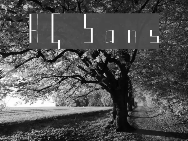 KG Sans Font examples