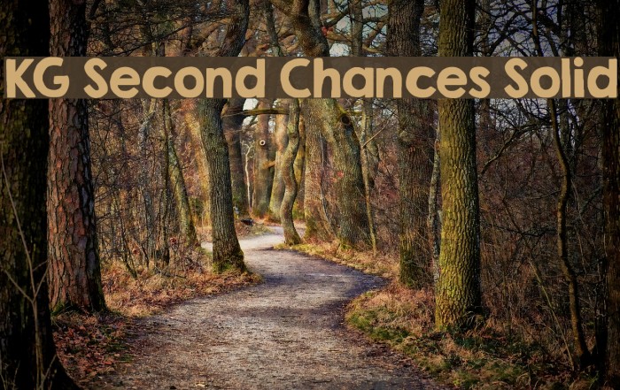 KG Second Chances Solid Fonte examples