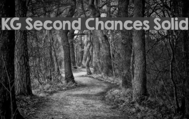 KG Second Chances Solid Font examples