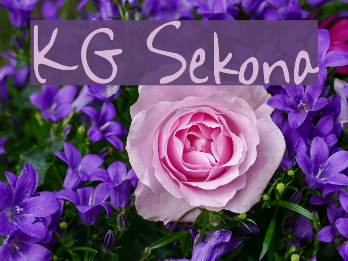 KG Sekona Font examples