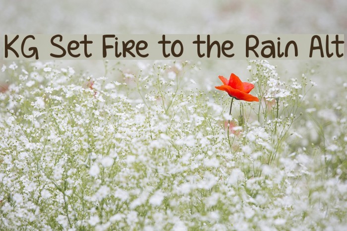 KG Set Fire to the Rain Alt Font examples