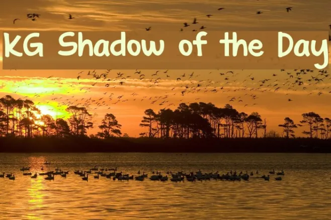 KG Shadow of the Day Example 2