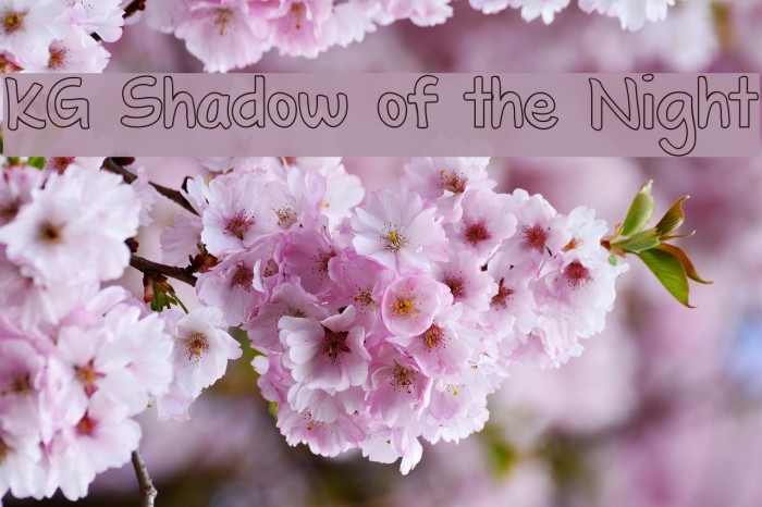 KG Shadow of the Night Font examples