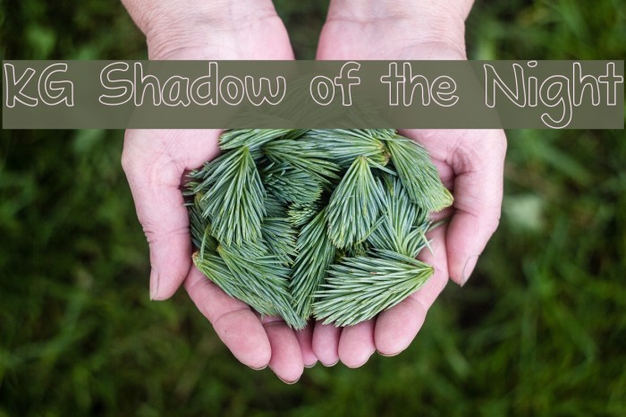 KG Shadow of the Night Font examples