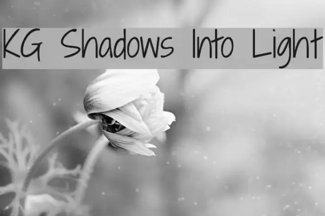 KG Shadows Into Light examples