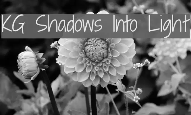 KG Shadows Into Light examples