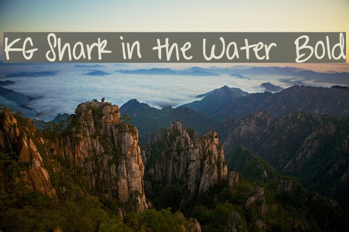KG Shark in the Water Bold Font examples
