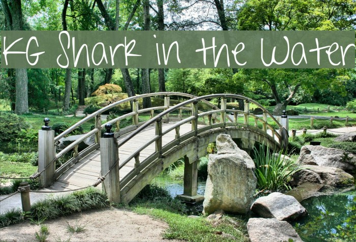 KG Shark in the Water Font examples