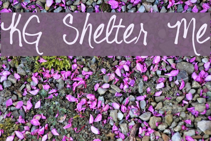 KG Shelter Me Example 2