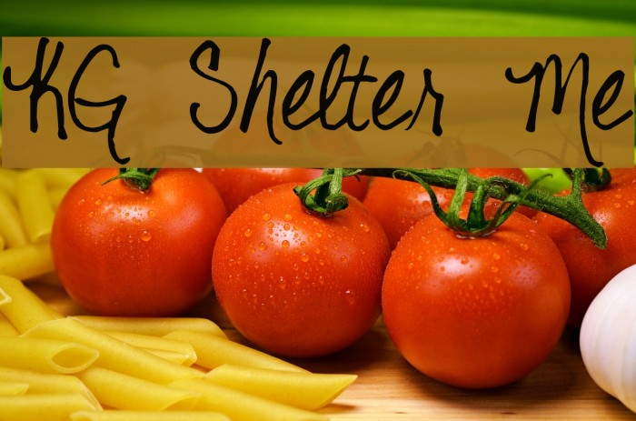KG Shelter Me Example 3