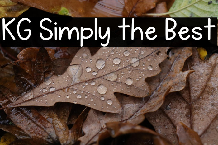 KG Simply the Best Example 2