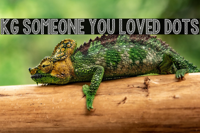 KG Someone You Loved Dots Example 2