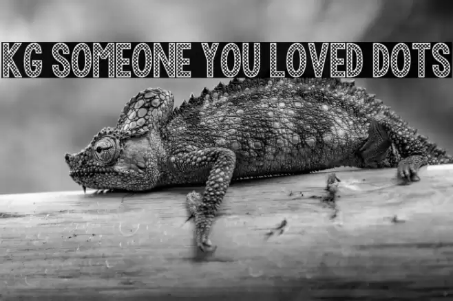 KG Someone You Loved Dots Schriftart examples