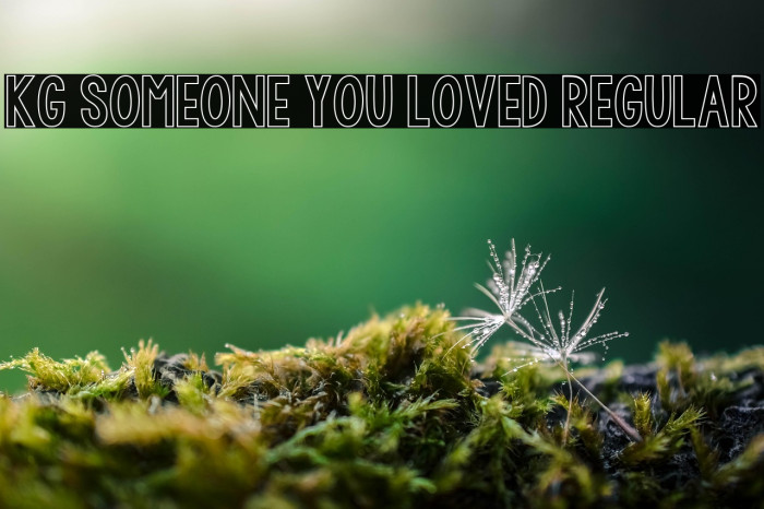 KG Someone You Loved Regular Example 2