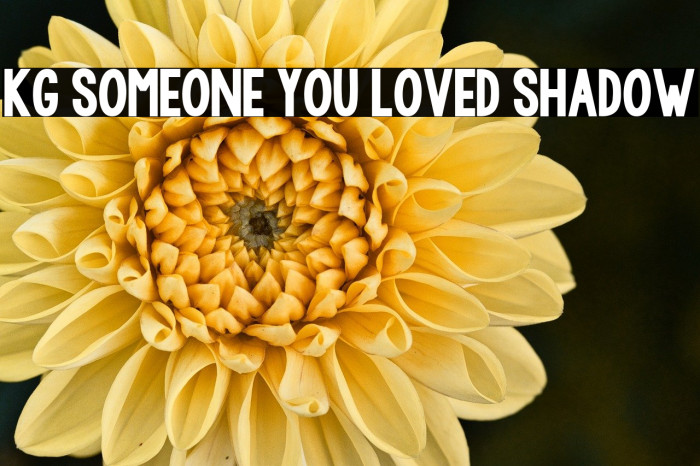 KG Someone You Loved Shadow Example 3
