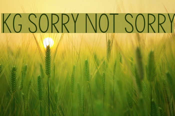 KG Sorry Not Sorry Font examples