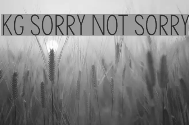 KG Sorry Not Sorry Шрифта examples