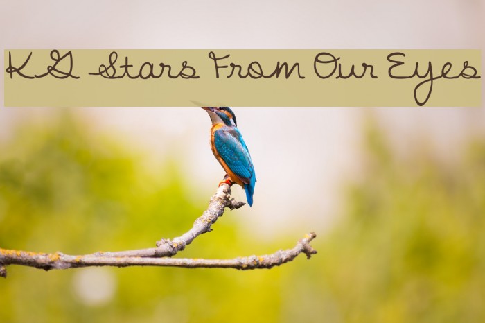 KG Stars From Our Eyes Example 3