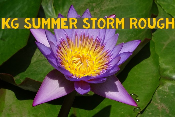 KG Summer Storm Rough Font examples