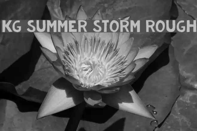 KG Summer Storm Rough خط examples