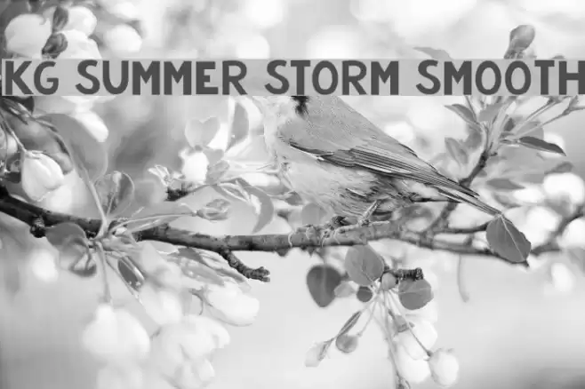 KG Summer Storm Smooth Font examples