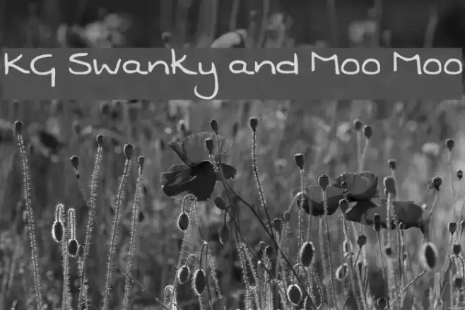 KG Swanky and Moo Moo Schriftart examples