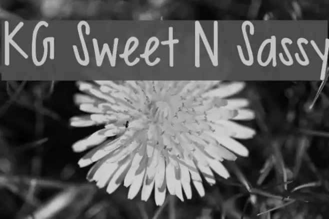 KG Sweet N Sassy Font examples