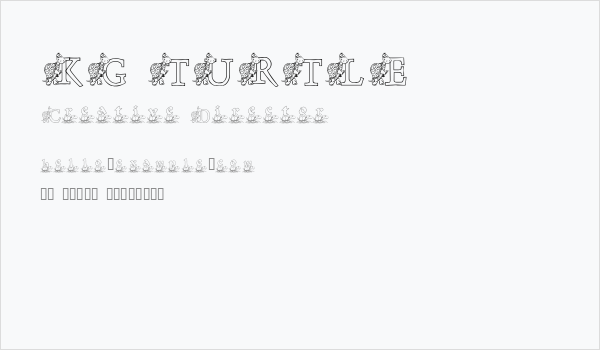 KG TURTLE Business Card