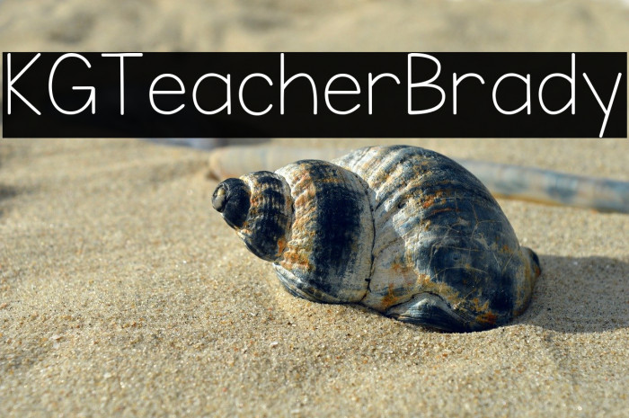 KG Teacher Brady Example 1