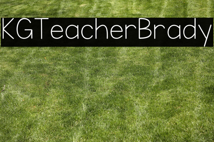 KG Teacher Brady Example 2