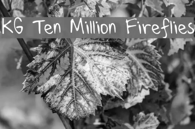 KG Ten Million Fireflies Font examples