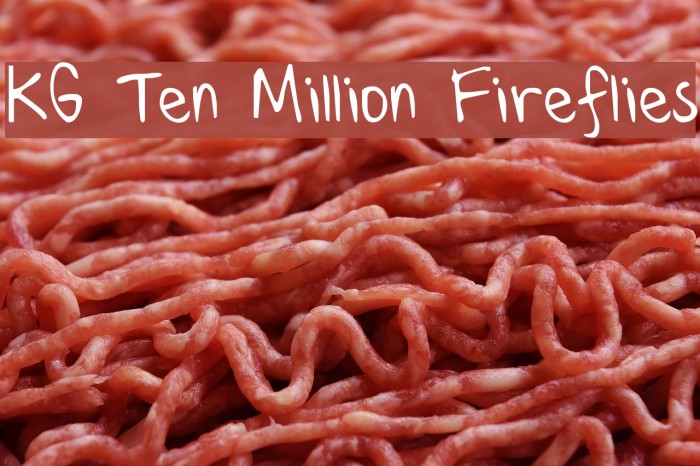 KG Ten Million Fireflies Example 3