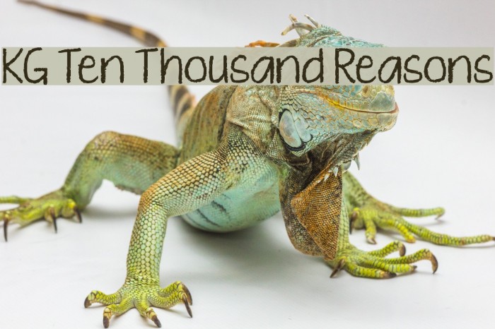 KG Ten Thousand Reasons Font examples