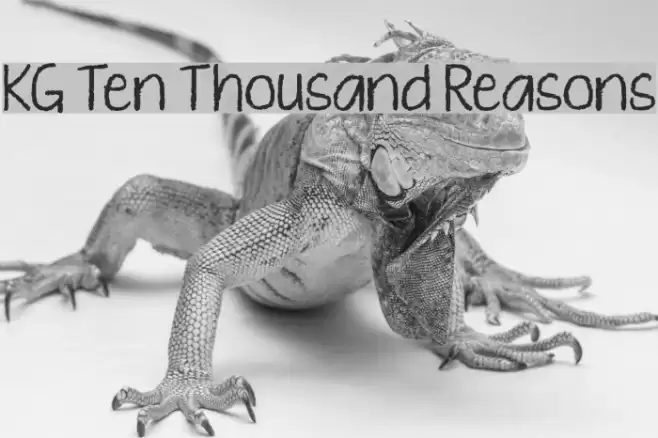 KG Ten Thousand Reasons examples