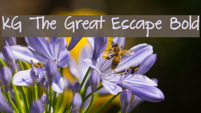 KG The Great Escape Bold Font examples
