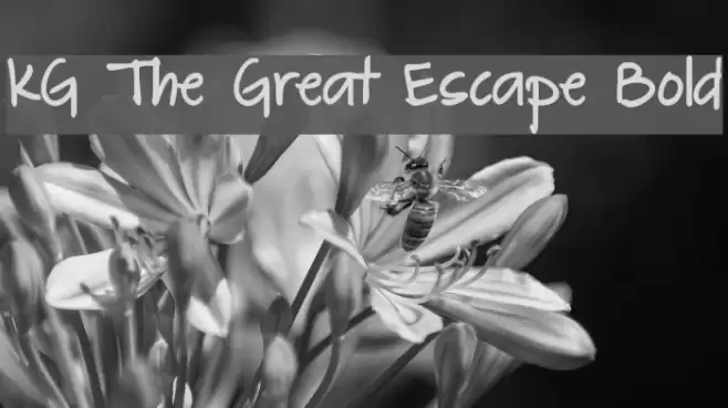 KG The Great Escape Bold Font examples